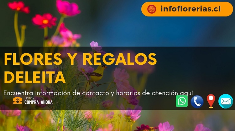 Flores y Regalos Deleita