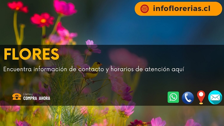 Flores