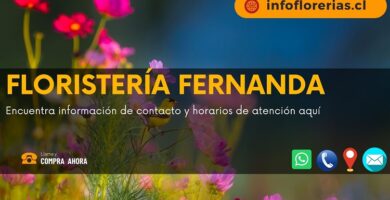 Floristería Fernanda