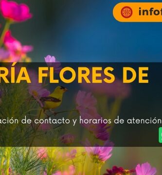 Floristería Flores de Amor