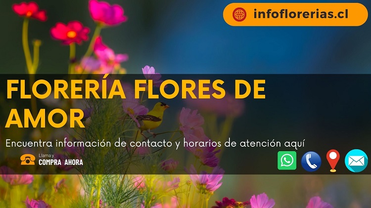 Floristería Flores de Amor