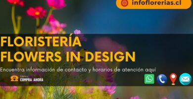 Floristería Flowers In Design
