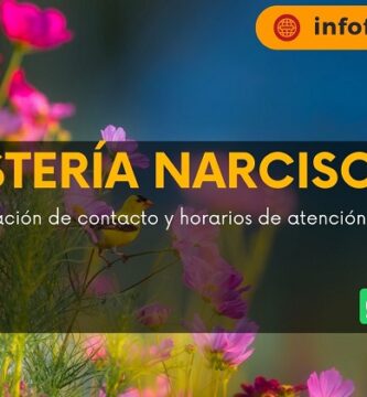 Floristería Narciso II