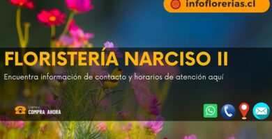 Floristería Narciso II