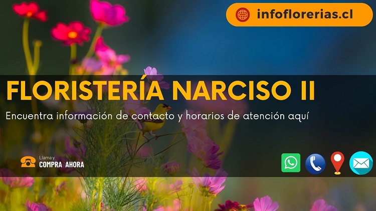 Floristería Narciso II