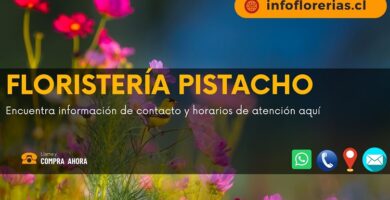 Floristería Pistacho