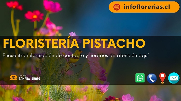 Floristería Pistacho