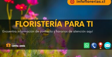 Floristería para ti
