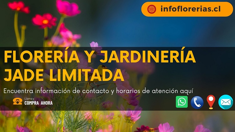 Florería y Jardinería Jade Limitada