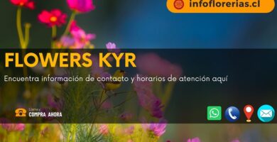 Flowers KyR