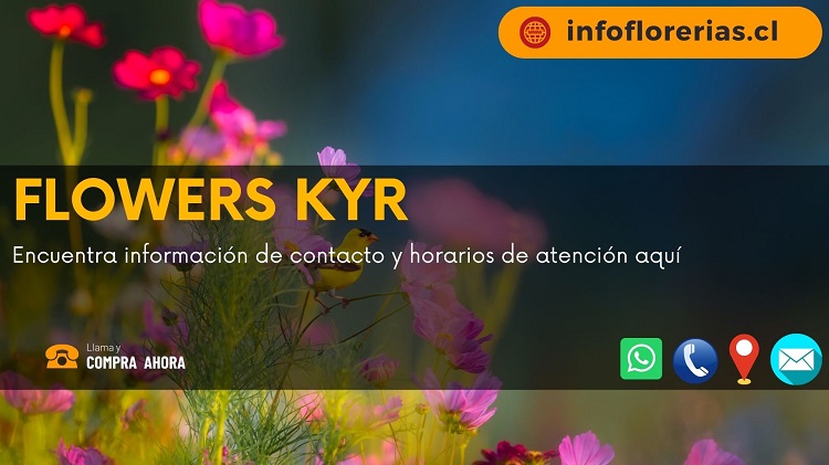 Flowers KyR