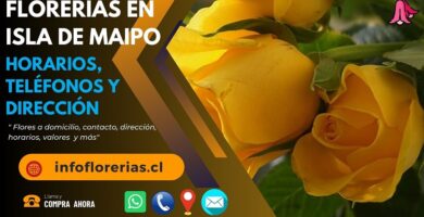 Florerías en Isla de Maipo