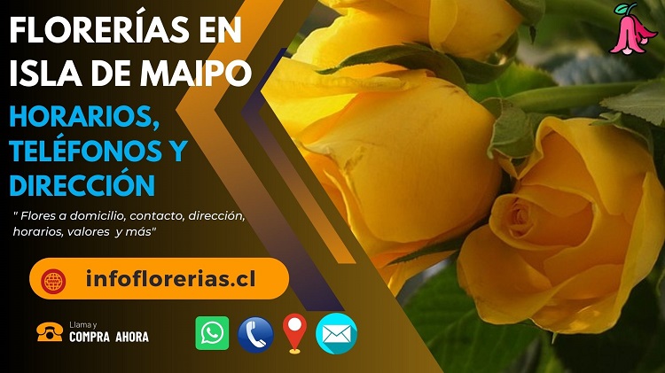 Florerías en Isla de Maipo