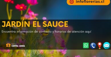 Jardín El Sauce