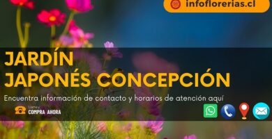 Jardín Japonés Concepción