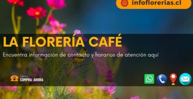 La Florería Café