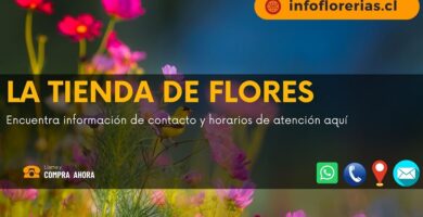La tienda de Flores