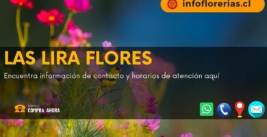 Las Lira Flores