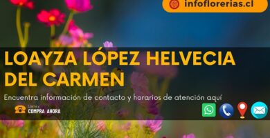Loayza López Helvecia del Carmen