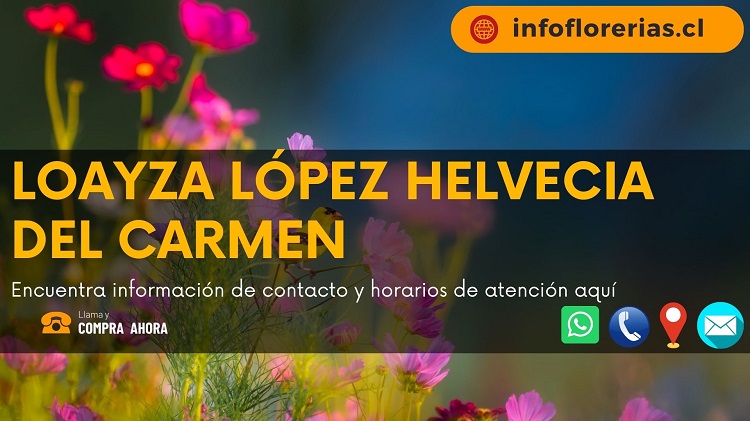 Loayza López Helvecia del Carmen