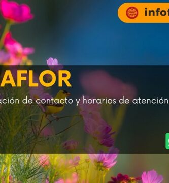 Magnaflor