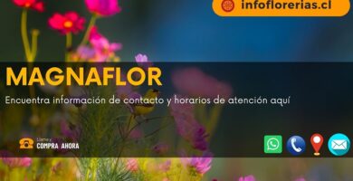 Magnaflor