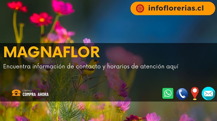 Magnaflor