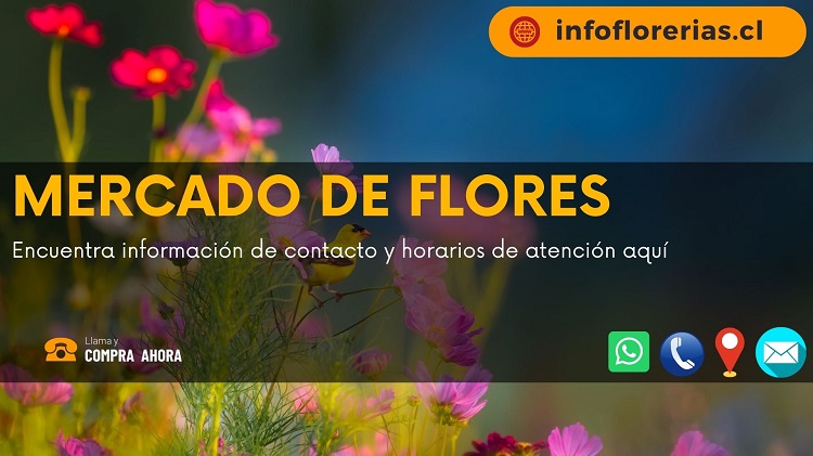 Mercado de Flores