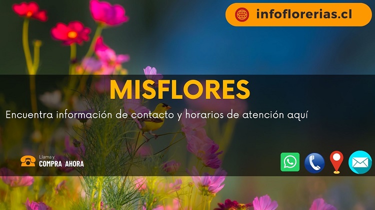 Misflores