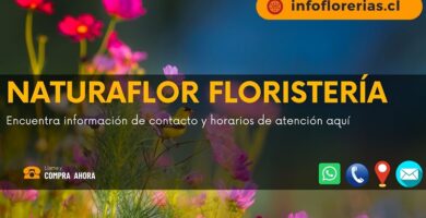 Naturaflor Floristería