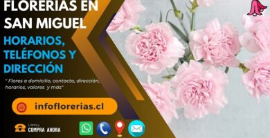 Florerías en San Miguel