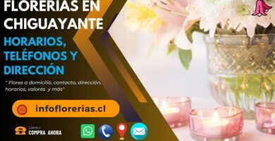 Florerías en Chiguayante