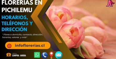 Florerías en Pichilemu