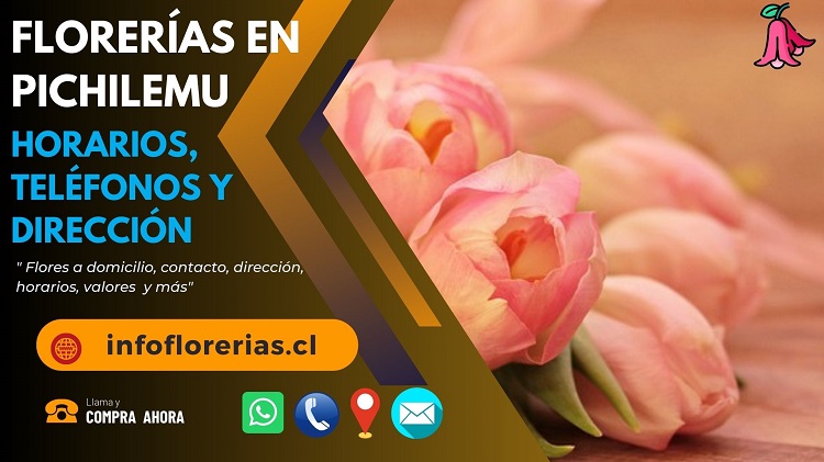 Florerías en Pichilemu