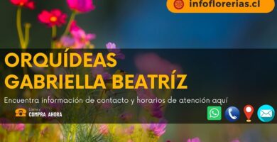 Orquídeas Gabriella Beatríz