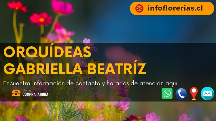 Orquídeas Gabriella Beatríz