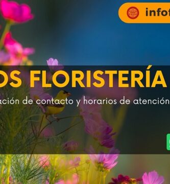 Pétalos Floristería