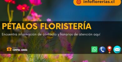 Pétalos Floristería