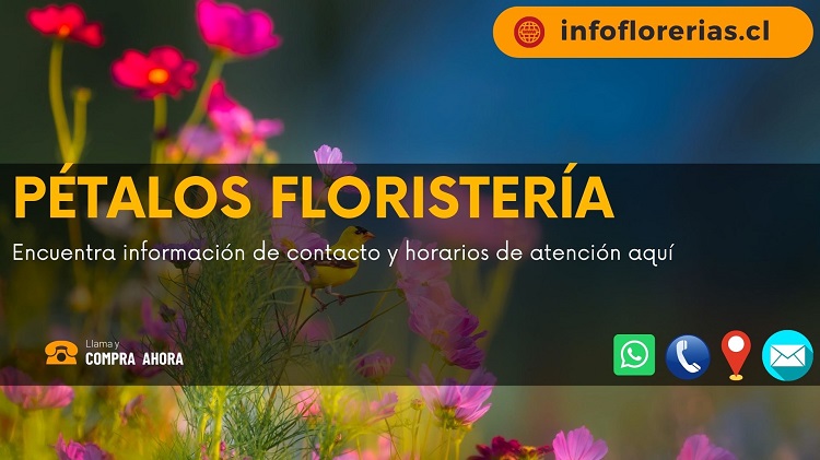 Pétalos Floristería