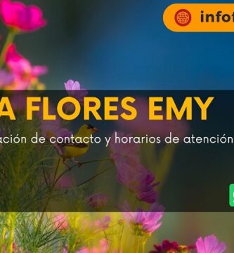 Planta Flores Emy