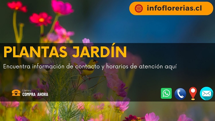 Plantas Jardín