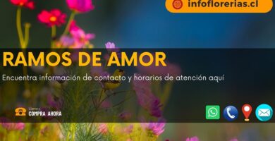 Ramos de Amor
