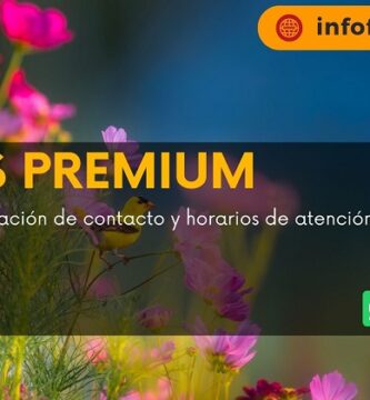 Rosas Premium