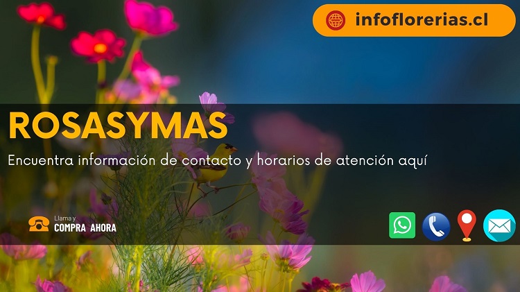 Rosasymas