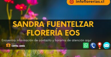 Sandra Fuentelzar Florería Eos
