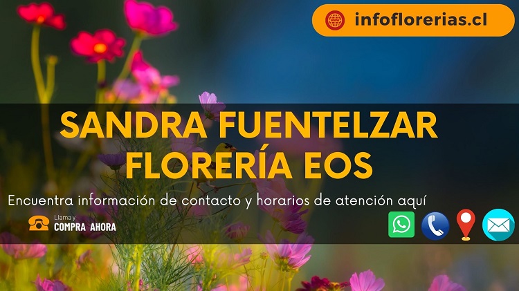 Sandra Fuentelzar Florería Eos