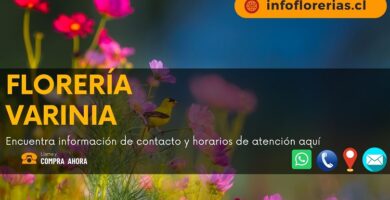 Varinia