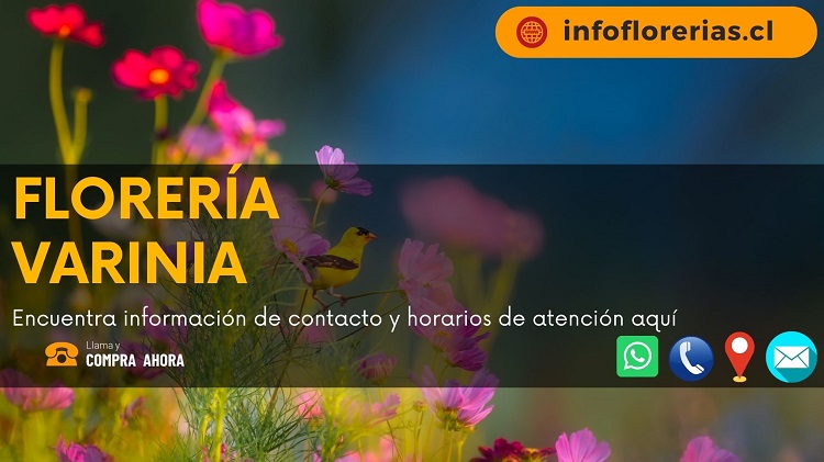 Varinia