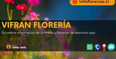 Vifran Florería