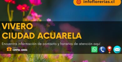 Vivero Ciudad Acuarela